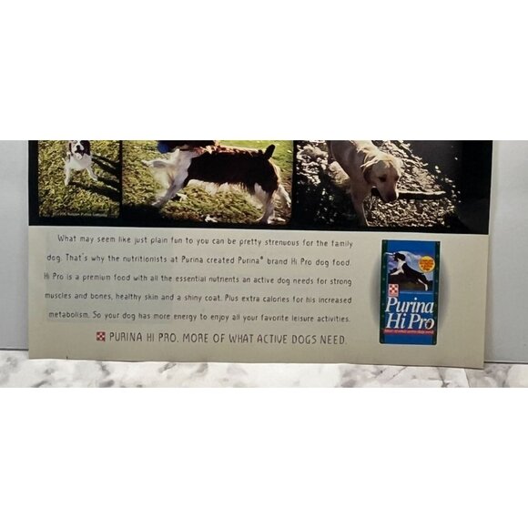 Purina Hi Pro Dog Food Print Ad Vintage 90s Active Dogs Stick Throwing - Picture 5 of 5